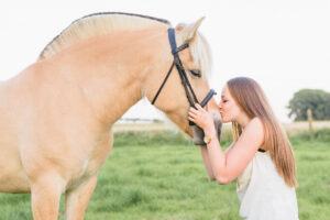 paardenfotografie op locatie buggenhout 05