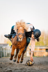 paardenfotografie op locatie buggenhout 14