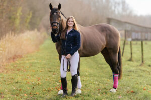 paardenportret met zwarte achtergrond 41
