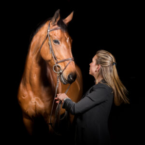 paardenportret zwarte achtergrond 20